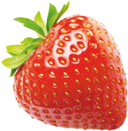 fruit